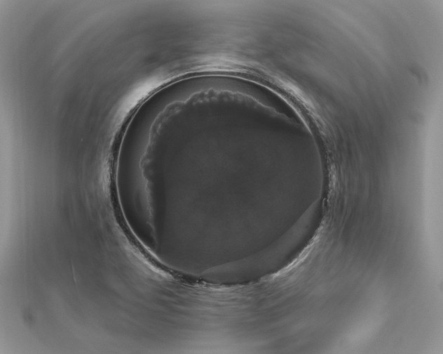 X0000112821463200908211155