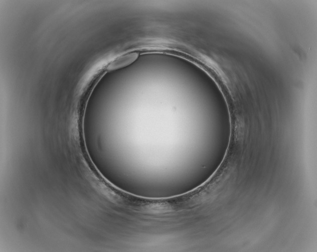 X0000112821464200908211155