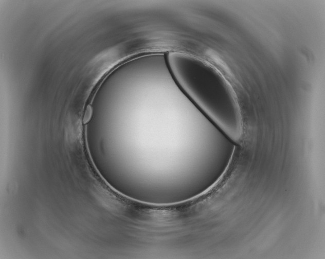 X0000112821465200908211155