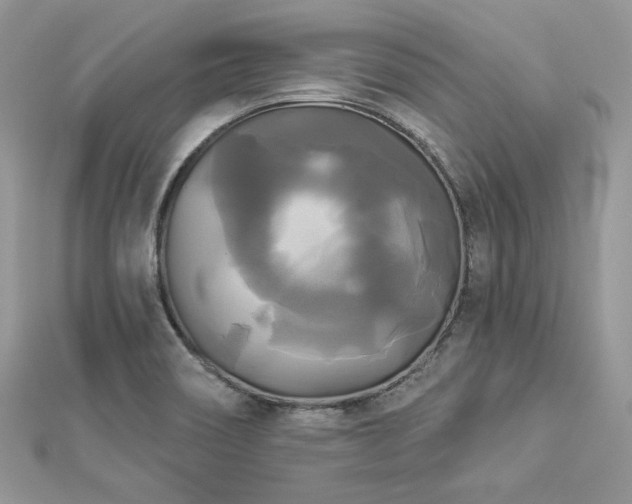 X0000112821466200908211155