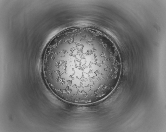 X0000112821467200908211155