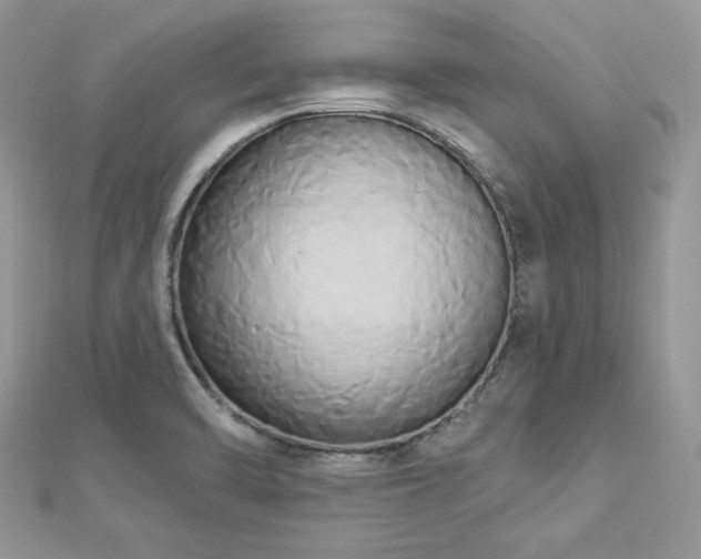 X0000112821470200908211155
