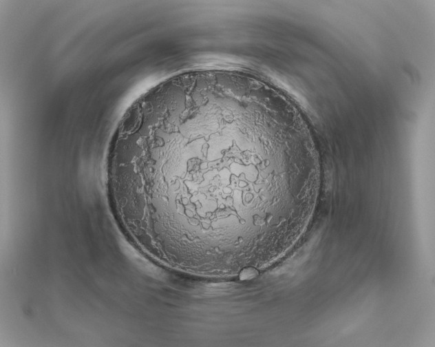 X0000112821471200908211155