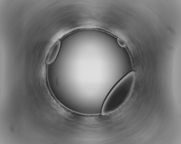 X0000112821472200908211155