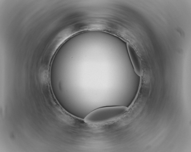 X0000112821473200908211155