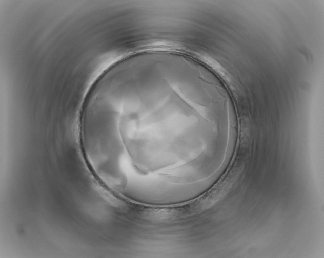 X0000112821474200908211155