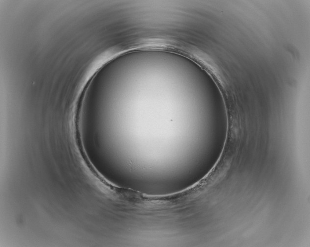 X0000112821475200908211155
