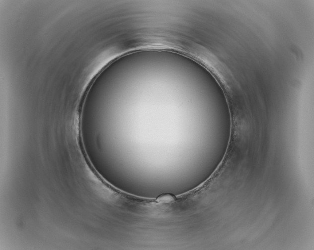 X0000112821476200908211155
