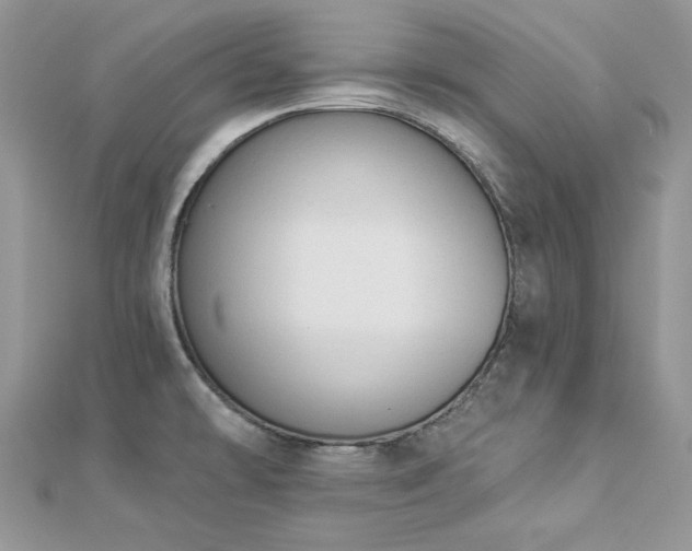X0000112821478200908211155