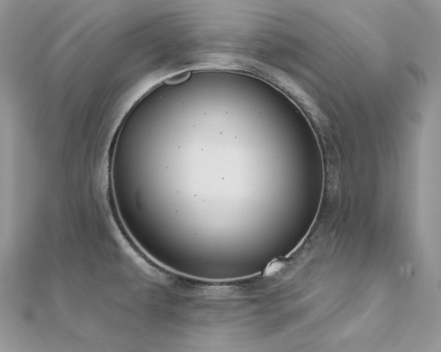X0000112821479200908211155