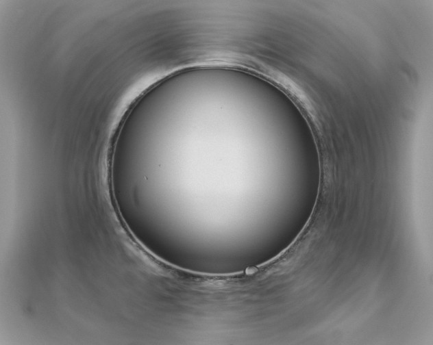 X0000112821480200908211155