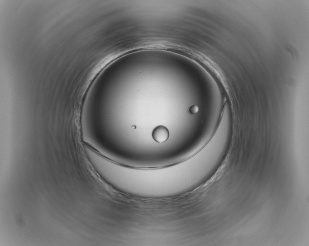 X0000112821481200908211155