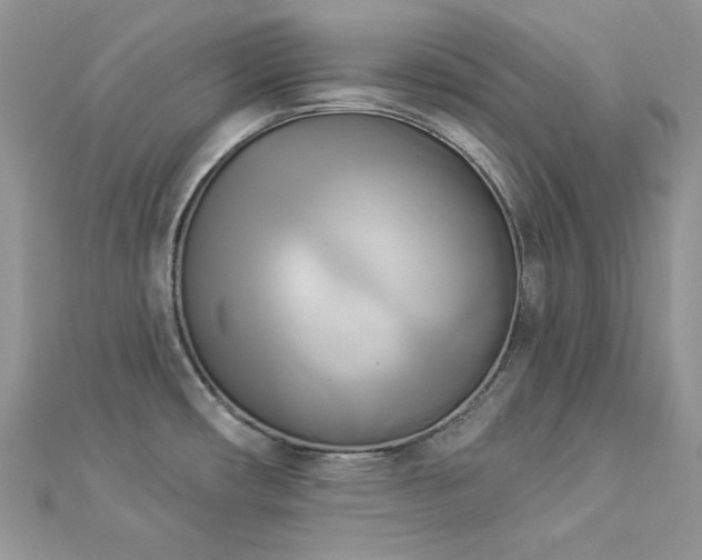 X0000112821482200908211155