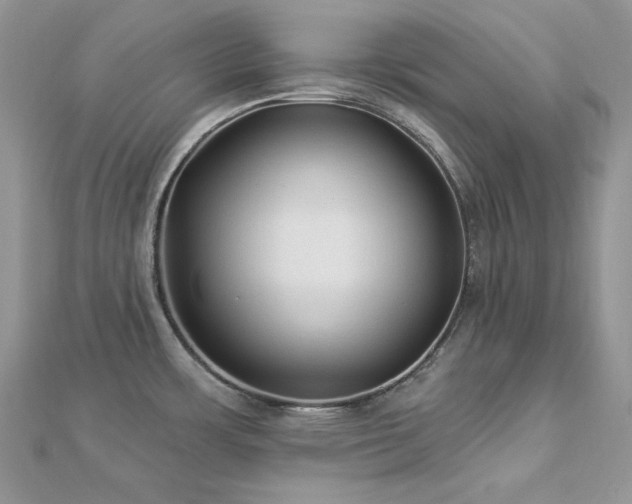 X0000112821483200908211155