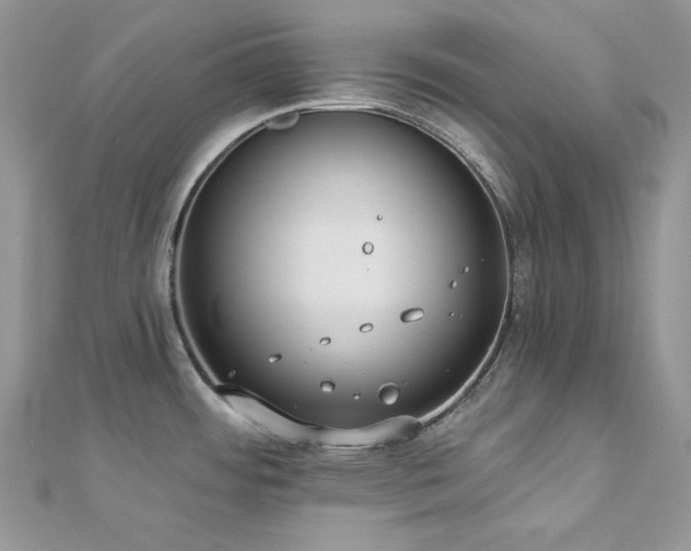 X0000112821484200908211155