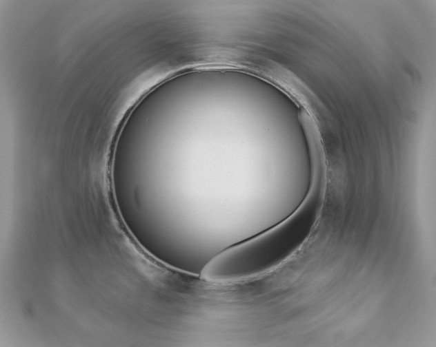 X0000112821485200908211155