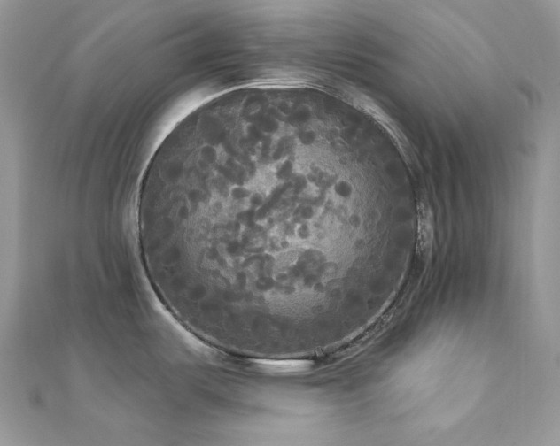X0000112821487200908211155