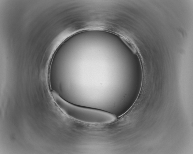 X0000112821488200908211155