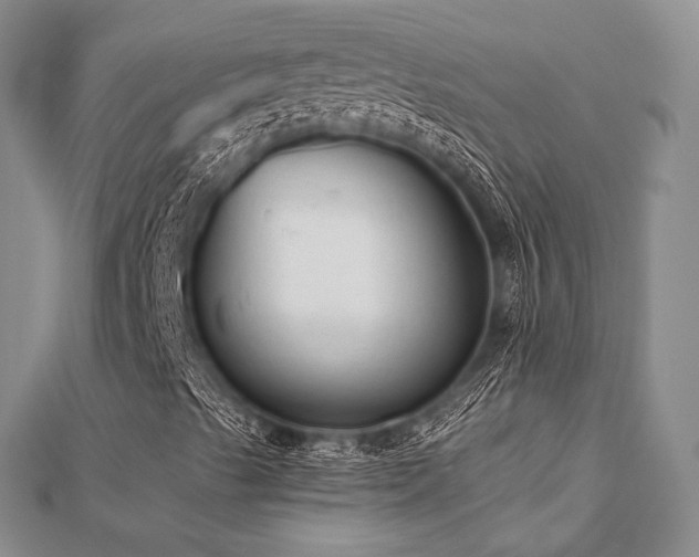 X0000112821489200908211154
