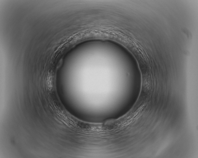 X0000112821490200908211154