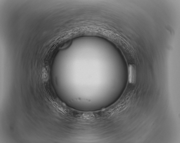 X0000112821491200908211154