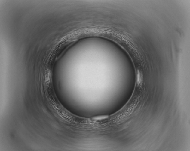 X0000112821492200908211154