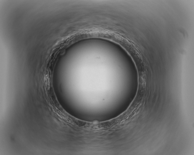 X0000112821493200908211154