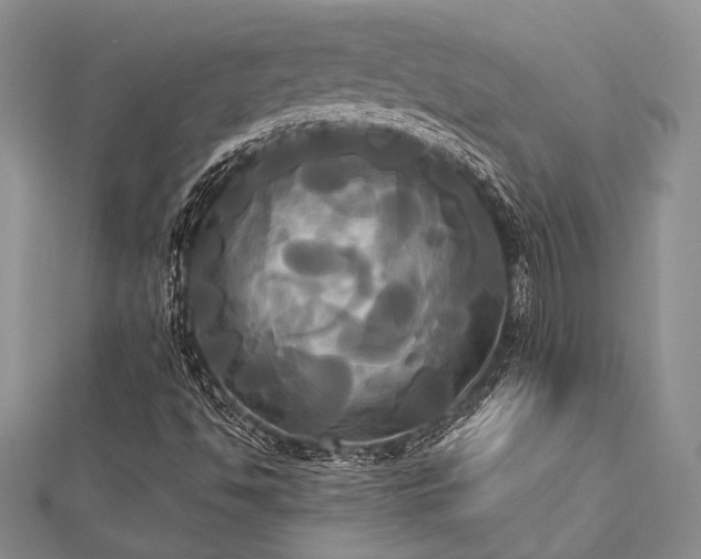 X0000112821494200908211154