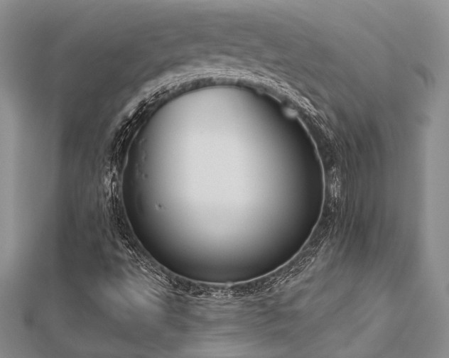 X0000112821495200908211154