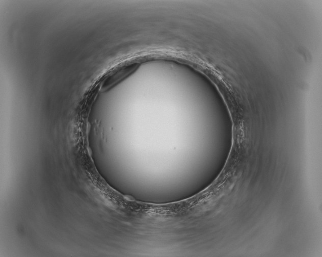 X0000112821496200908211154