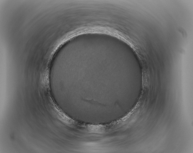 X0000112821498200908211154