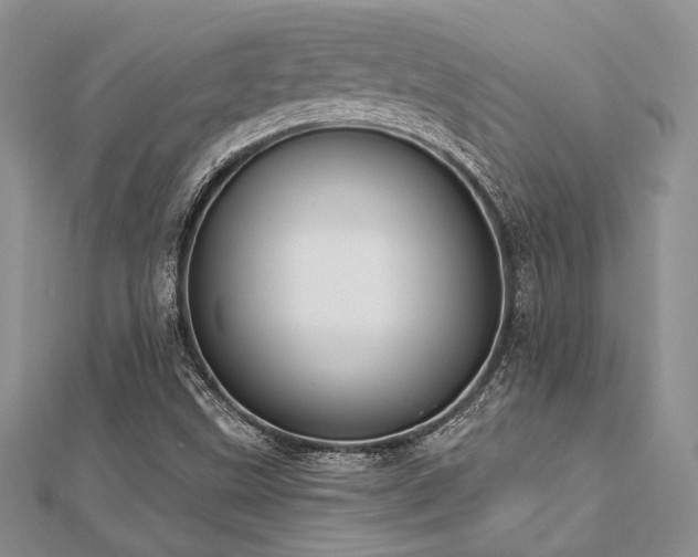 X0000112821499200908211154