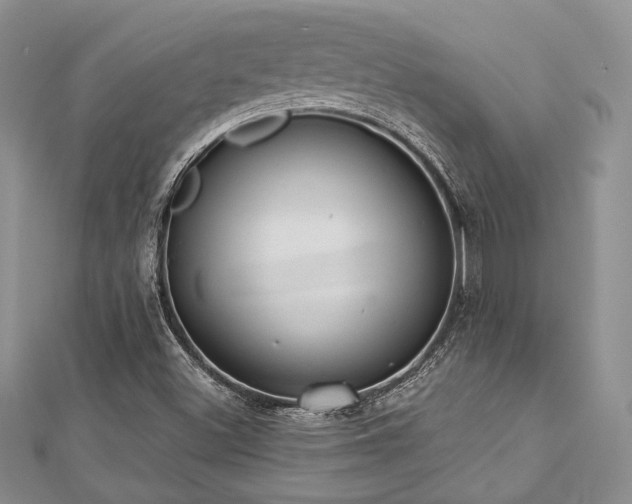 X0000112821500200908211154