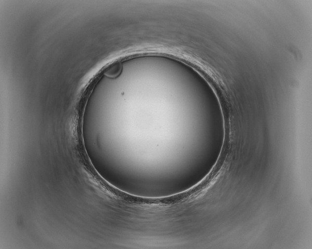 X0000112821502200908211154