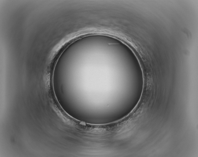 X0000112821503200908211155