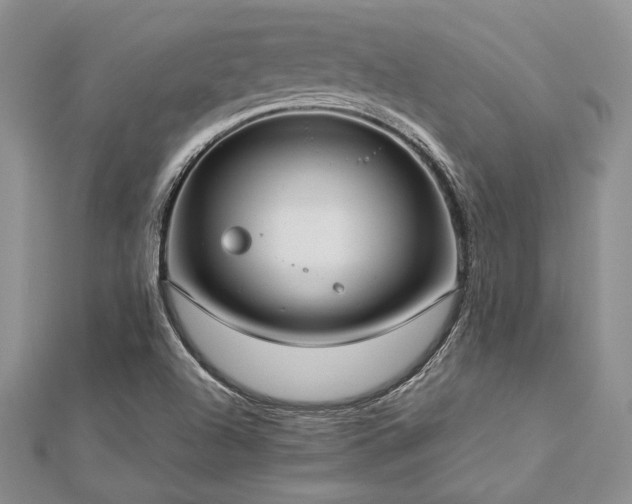 X0000112821504200908211155