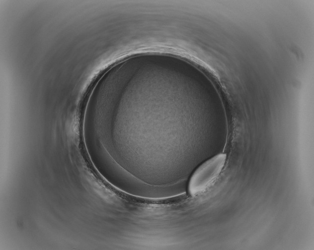 X0000112821506200908211155