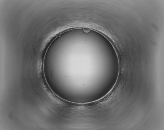 X0000112821507200908211155