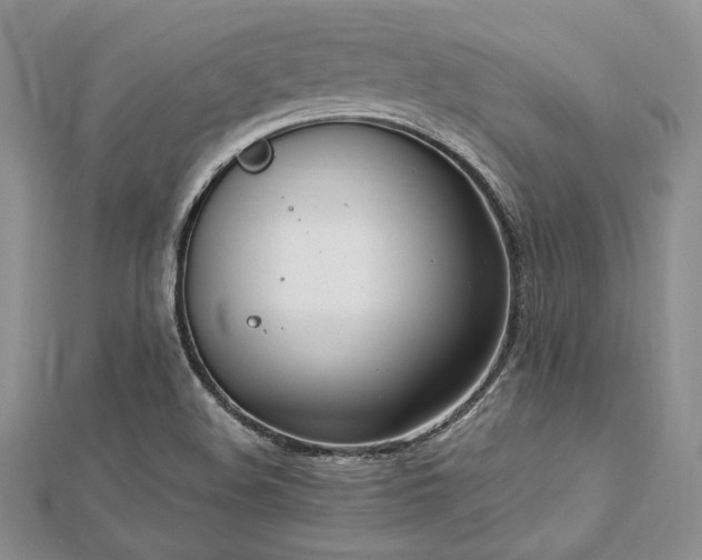 X0000112821508200908211155