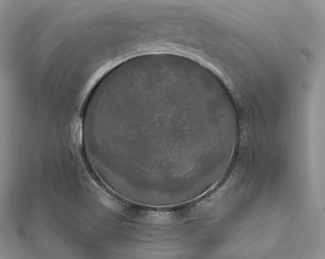 X0000112821509200908211155