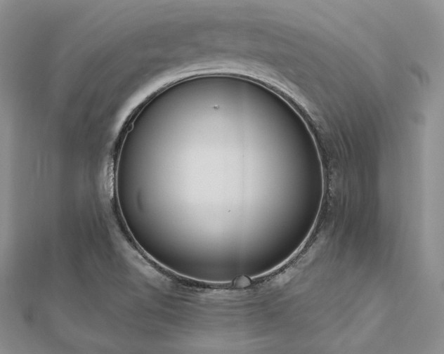 X0000112821510200908211155