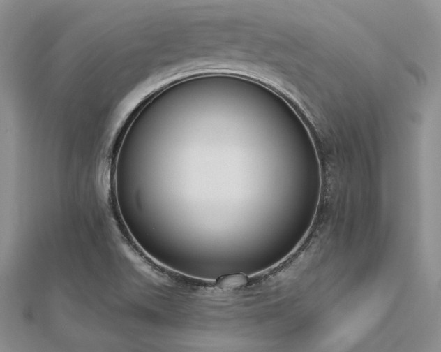 X0000112821511200908211155
