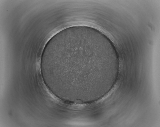 X0000112821513200908211155