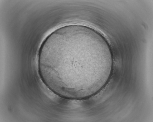 X0000112821514200908211155