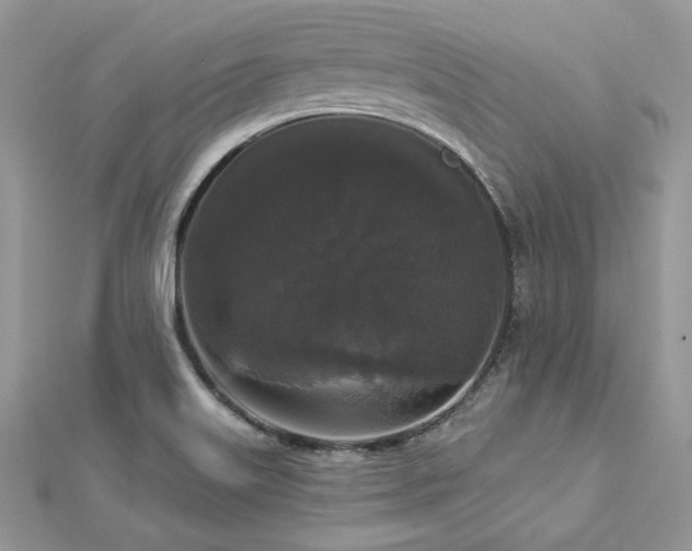 X0000112821515200908211155