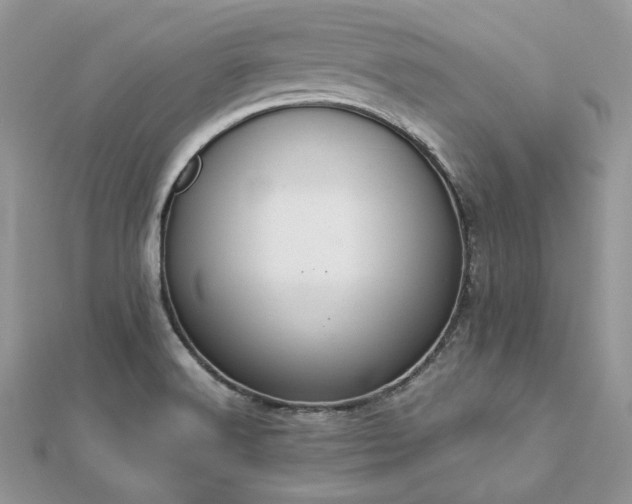 X0000112821516200908211155