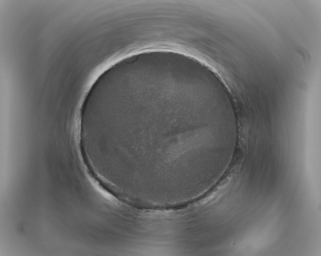X0000112821519200908211155