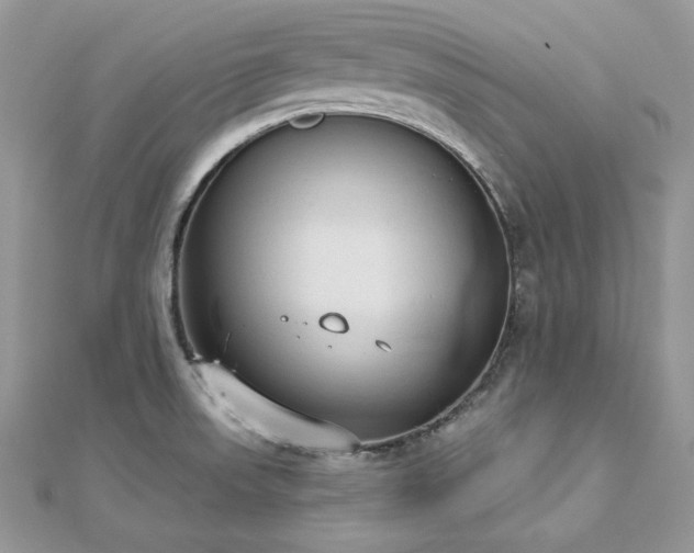 X0000112821523200908211155