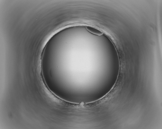 X0000112821524200908211155