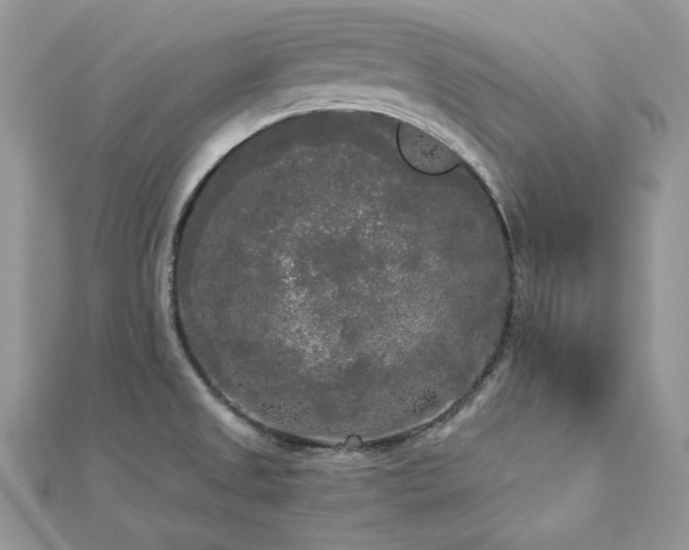 X0000112821525200908211155